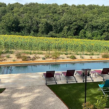 Luzillé Sans Souci Bed And Breakfast Luxe Heated Pool And Restaurant מראה חיצוני תמונה